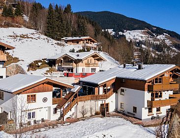 Alpensteinbock Saalbach A