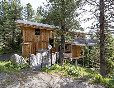 Vakantiehuis #42 mit Sauna und Sprudelbad innen