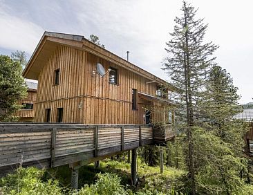 Vakantiehuis #46 mit IR-Sauna und Sprudelbad innen