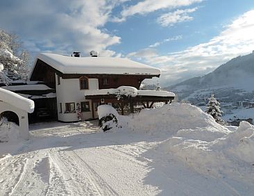 Vakantiehuisje in wildschoenau