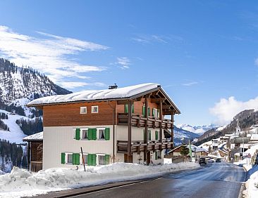 Ferienhaus Türtscher 1