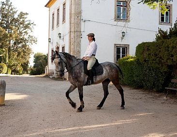 Quinta dos Álamos