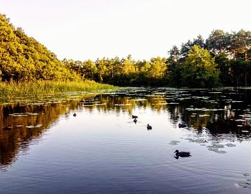 Vakantiehuis Grażyna