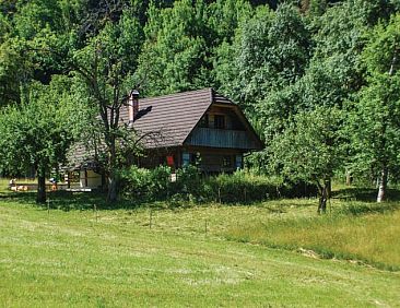 Vakantiehuis in Bohinjska Bela