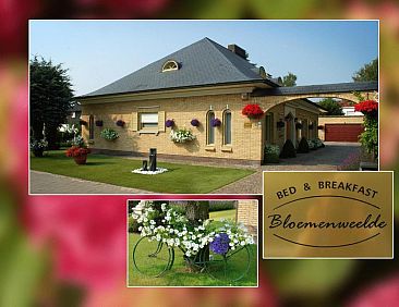 B&amp;B Bloemenweelde