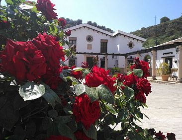 Hacienda Puerto De Las Muelas