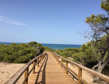 Casa Georgio - oasis Beach