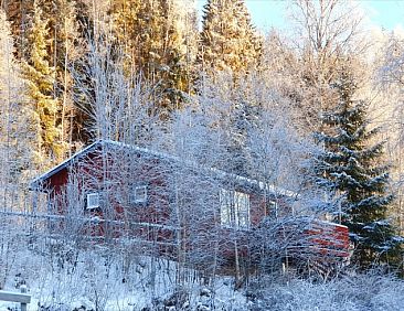 Vakantiehuis in Höljes