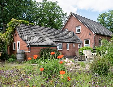 Vakantiehuisje in Odoorn