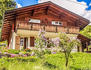 Vakantiehuis Chalet Reinhysi