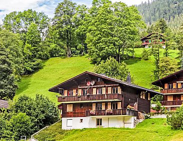 Appartement Chalet Blaugletscher