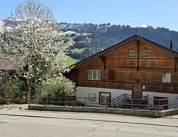 Appartement Am Ryschbächli