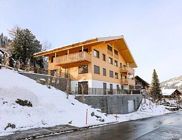 Appartement Rinderberg Sockelgeschoss Nordost