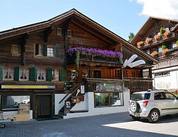 Appartement Le Vieux Chalet