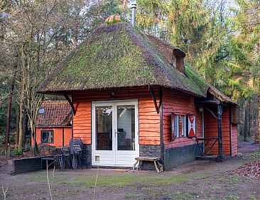 Karakteristiek vrijstaand 5 persoons vakantiehuis, bosrijk