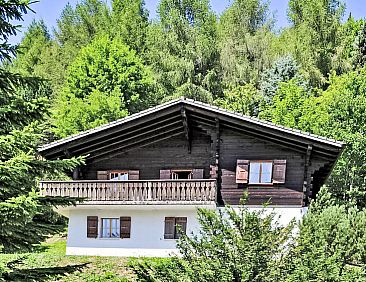 Vakantiehuis Chalet le Chamois