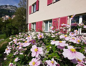 Appartement Schwendihaus Apartment