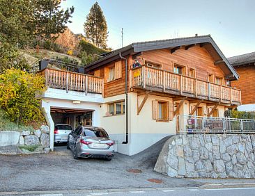 Vakantiehuis Chalet le Dahu