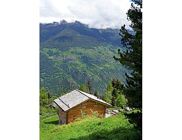 Chalet Perle des Collons