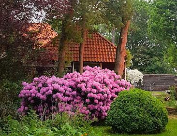 Huisje in Gasselternijveenschemond