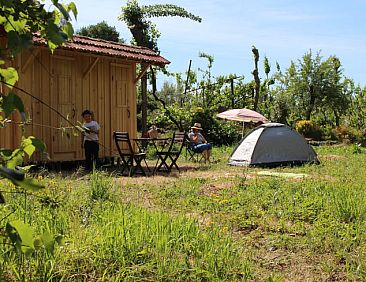 Vakantiehuis in Corgo, Celorico Basto