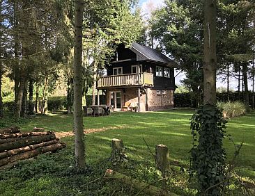 Uniek 4 persoons vakantiehuis tussen de bomen met weids