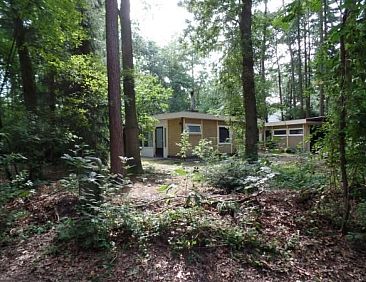 Leuke 4 persoons bungalow op rustige locatie in het bos in