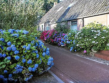 Vakantiehuis Onder De Eiken