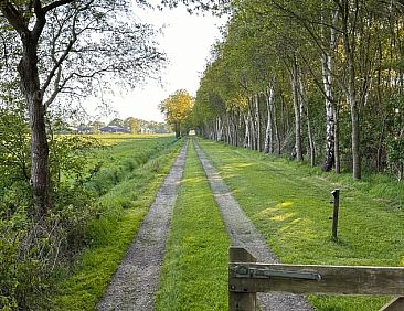 Vakantiehuisje in Koekange