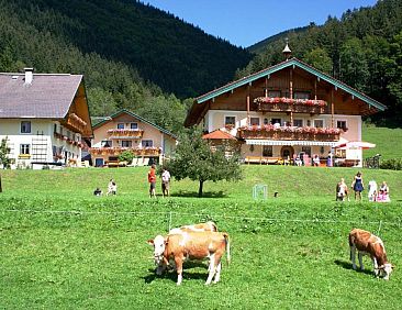 Am Ferienbauernhof Schmiedbauer com Salzkammergut