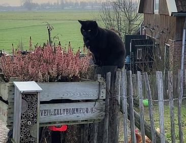 Vakantiehuis in Poederoijen