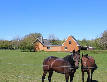 Vakantiehuis &quot;Adrienne&quot; - 6.4km from the sea