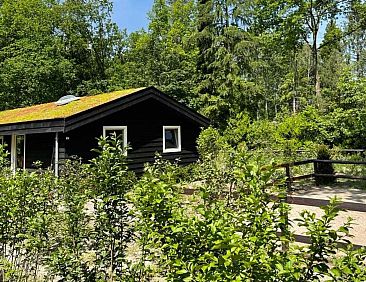 Gelijkvloerse 4 persoons bungalow met grote tuin in