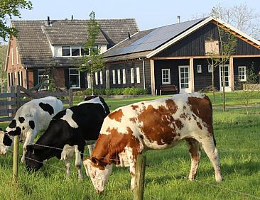 Huisje in Westendorp