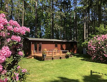 Knus 4 persoons chalet met terras in het bos bij Lochem