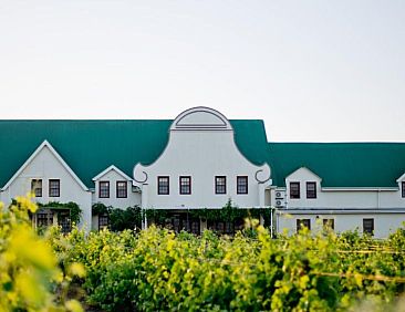 Cana Vineyard Guesthouse