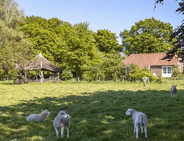 Vakantiehuisje in Baak