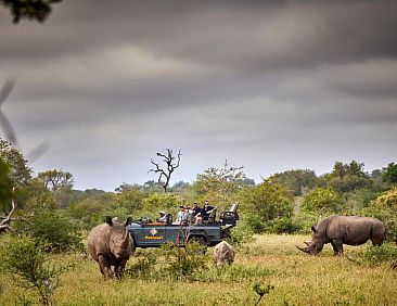 Motswari Private Game Reserve