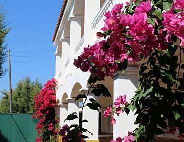 Apartamentos Bolonia Paraiso