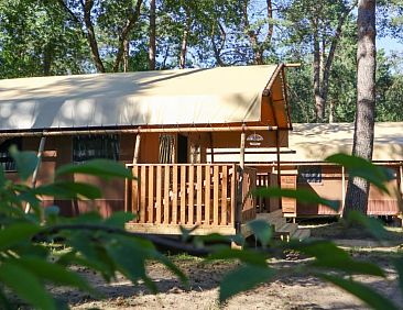 Vakantiehuis Lodgetent 2