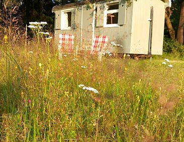 Vakantiehuisje in Epe