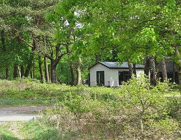 Vakantiehuisje in Vierhouten