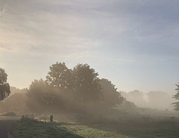 Vakantiehuisje in Rheden