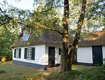 Vakantiehuisje in Doornspijk