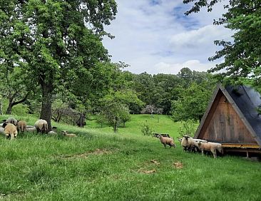 Vakantiehuisje in Vijlen