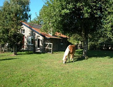 Vakantiewoning “in de Gaard” met open haard