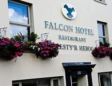 Falcon Hotel