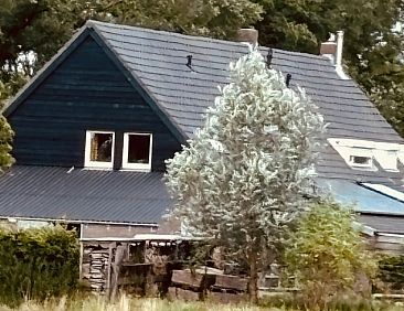 Vakantiehuis in Son