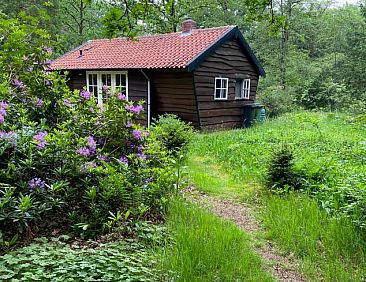 Vakantiehuis in Bergen op Zoom