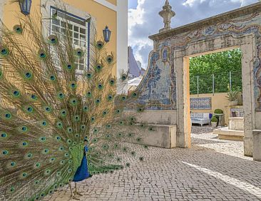 Solar do Castelo - Lisbon Heritage Collection - Alfama